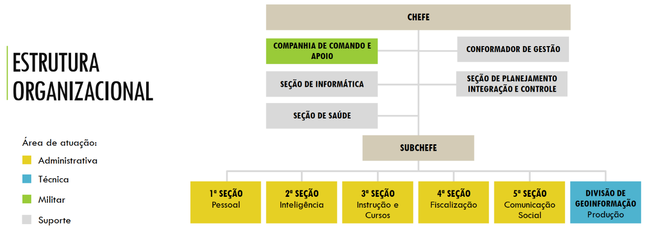 organizacional